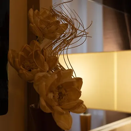 Scallop Self Check-in Zadar