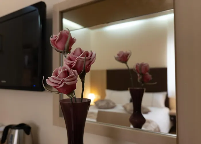 Bed & Breakfast Scallop Self Check-in Zara