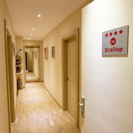 Scallop Self Check-in Zadar