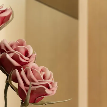 krevet i doručak Scallop Rooms Self Check-In Zadar