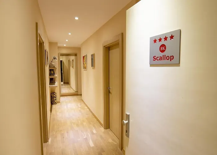 Scallop Self Check-in זאדאר