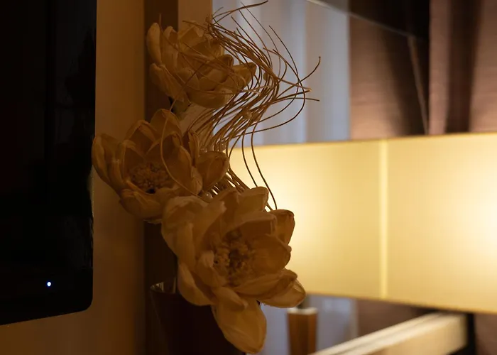 Scallop Self Check-in זאדאר