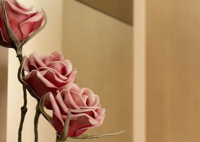 לינה וארוחת בוקר Scallop Self Check-in זאדאר